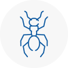 Ant Removals In Saint Peters