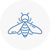 Bee Nest Removal Saint Peters