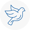 Bird Prevention Saint Peters