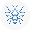 Saint Peters Hornet Nest Removals