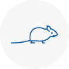 Mice Exterminators In Saint Peters