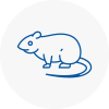Rat Control Saint Peters