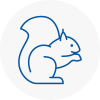 Saint Peters Rodent Removals