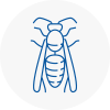 Saint Peters Wasp Nest Removal